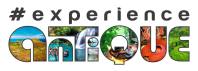 Experience Antique