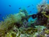 Talima Marine Sanctuary: A Seamless Blend of Nature and&nbsp;Humanity